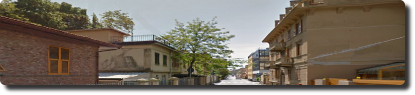 viale cembramo